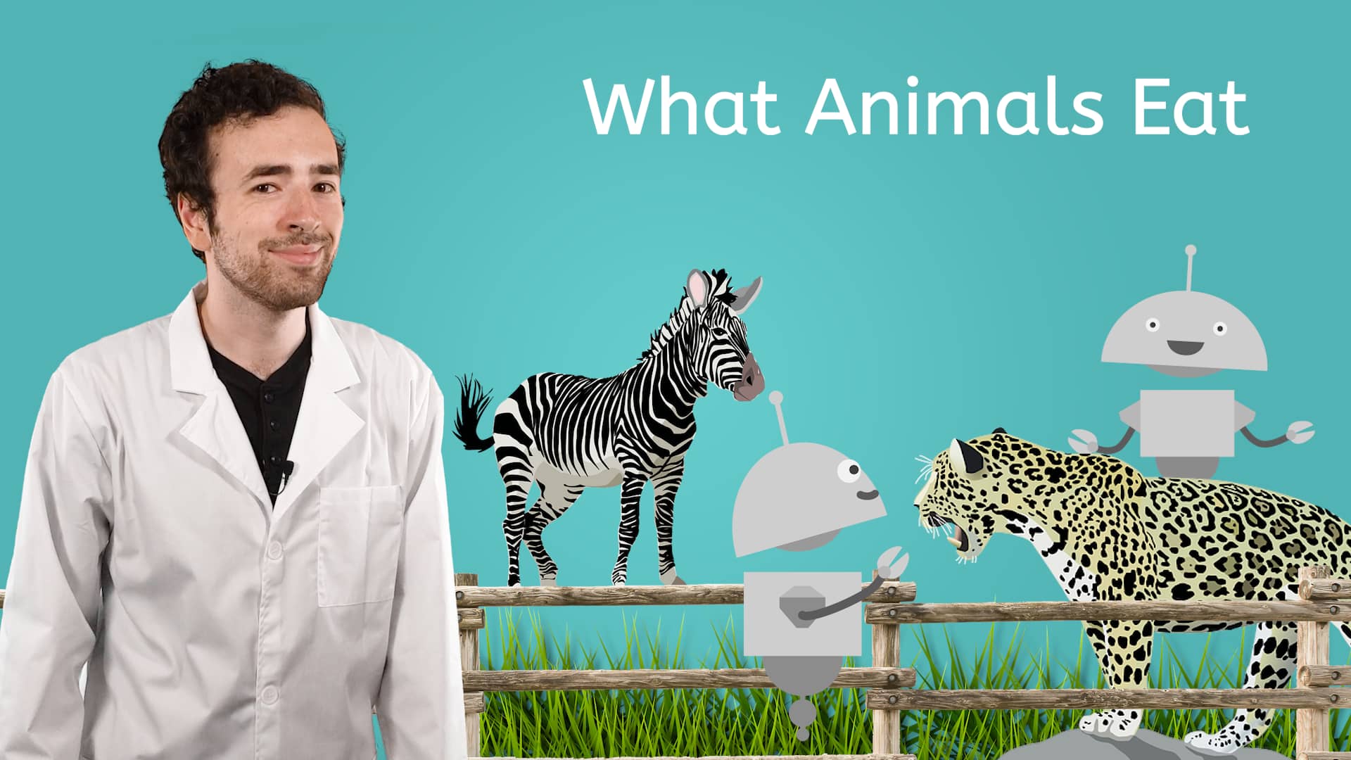 What Animals Eat on Vimeo