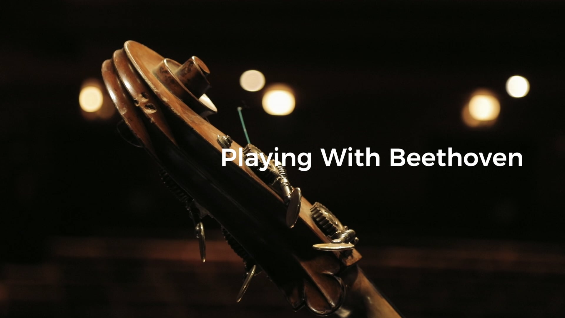 Carlos Bica Playing with Beethoven