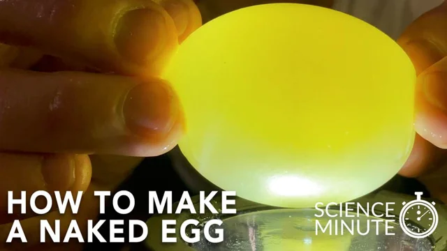 Naked Egg: Biology & Chemistry Science Activity