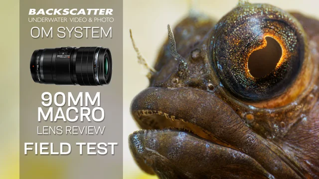 macro lens underwater