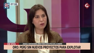 Entrevista a Ángela Grossheim en Canal N