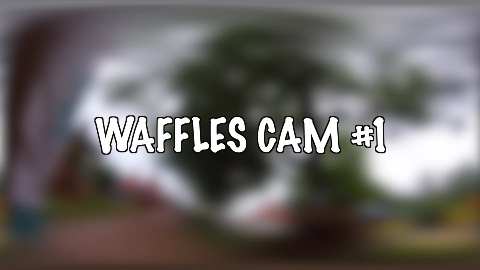 Waffles Cam #1 on Vimeo