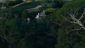 Corryton Burge Wines