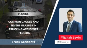 Levin Litigation Video Thumbnail