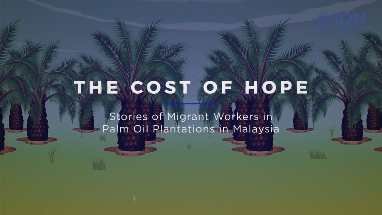 IOM UN MIGRATION - The cost of hope
