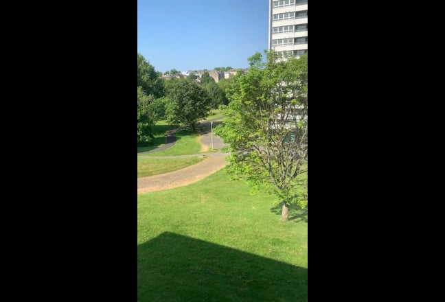 Video 1: 