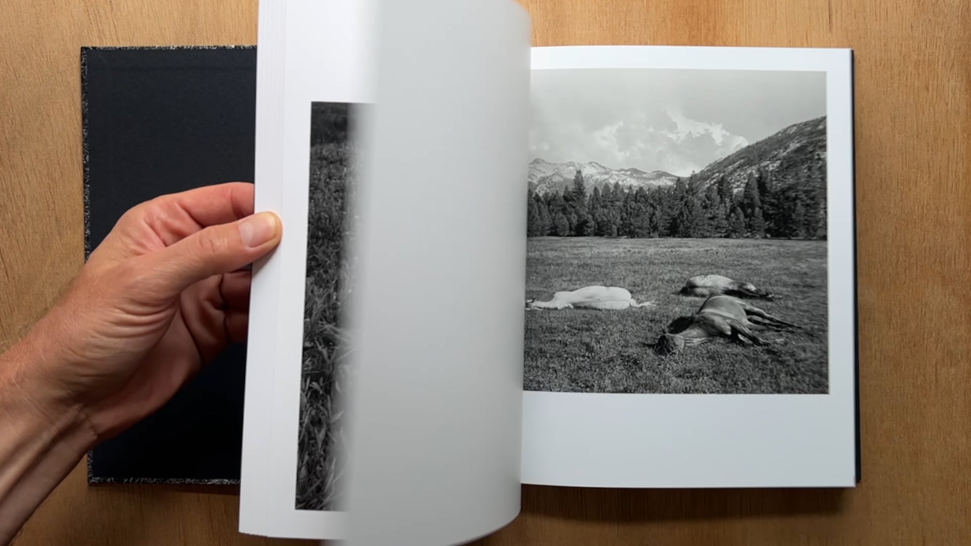 Mimi Plumb - Megalith-Still | Videos & Movies on Vimeo