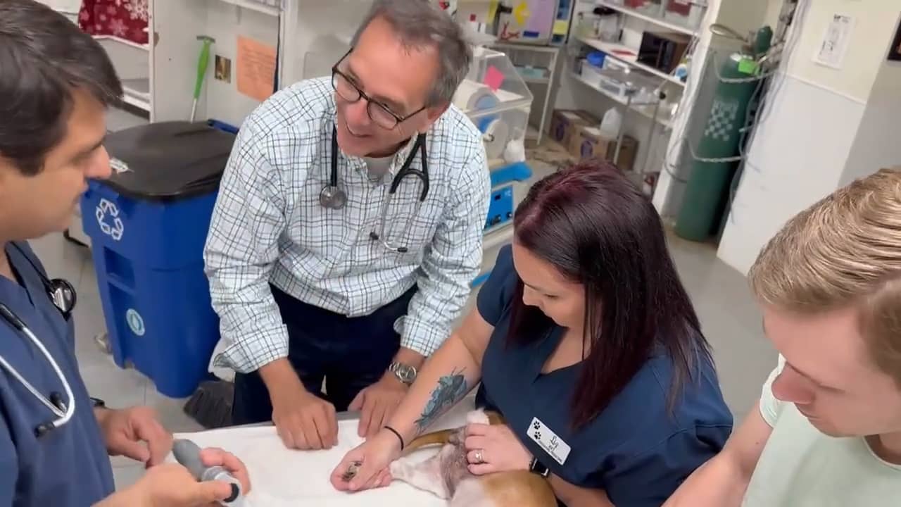 Join The Greater Cincinnati Veterinary Specialists Team! on Vimeo
