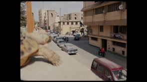Film preview