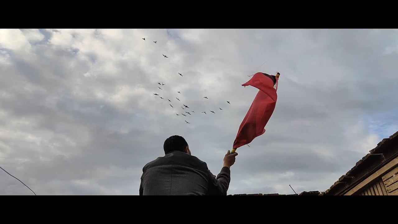 Pigeon Coop, a video by Rawan Hany Hassan, Jana Ayman Mohamed