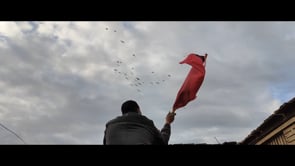 Film preview