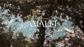 Vimeo preview