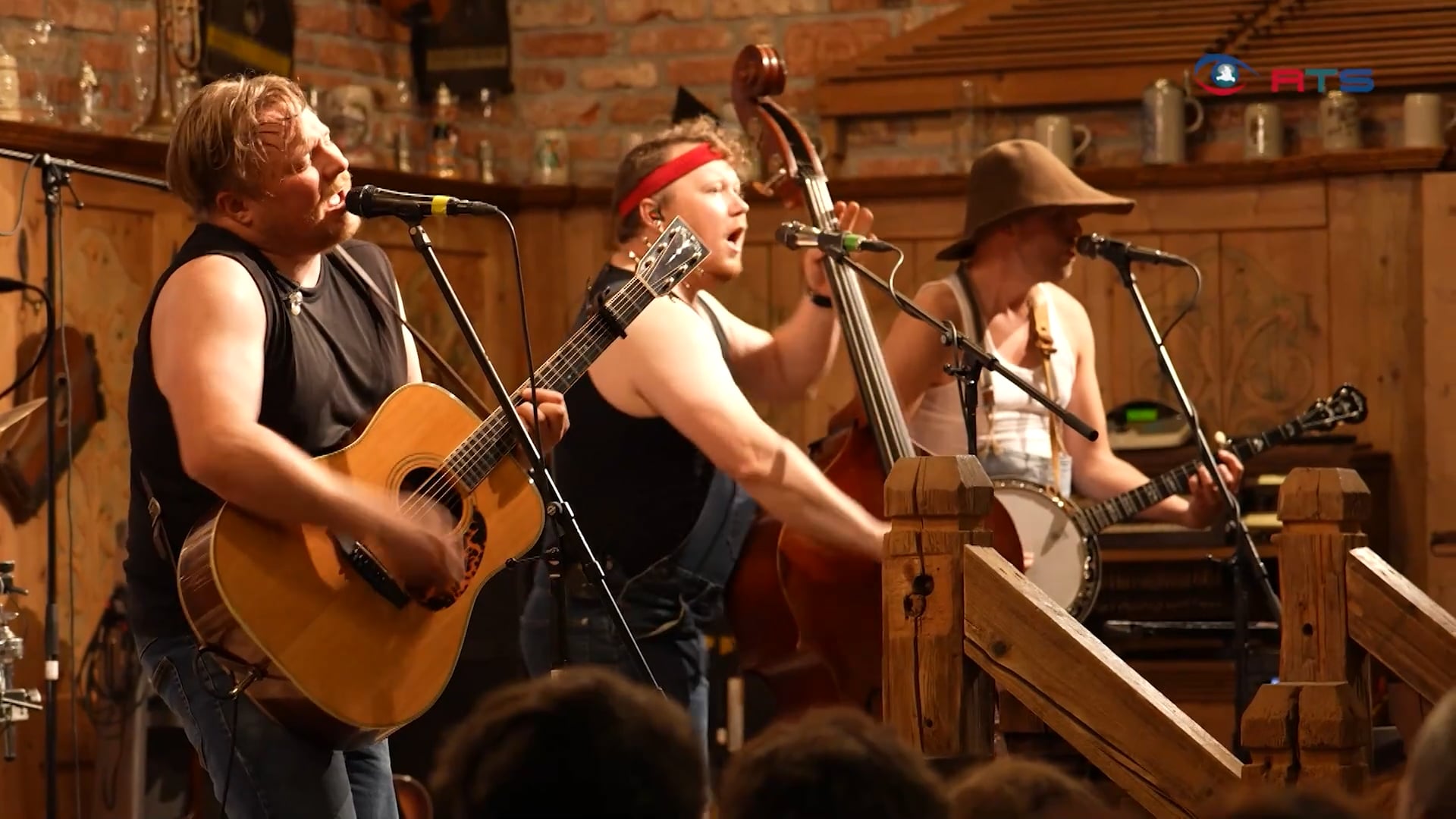 bluegrass-country-in-den-pinzgauer-grasbergen