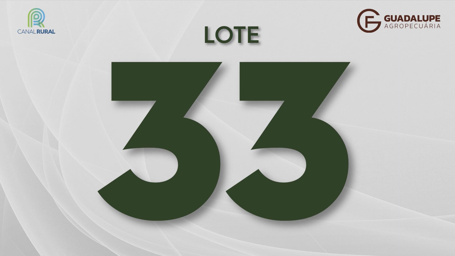 LOTE 33 on Vimeo