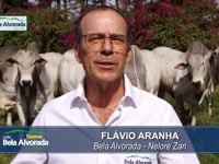 Convite Flávio Aranha