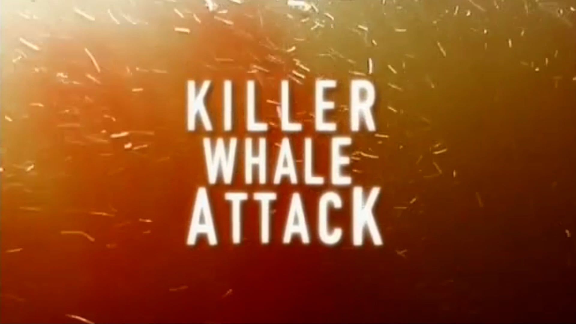 Killer Whale Attack NS