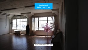 Video Gallery - Light, delicate studio with southwest windows and a rose wall
