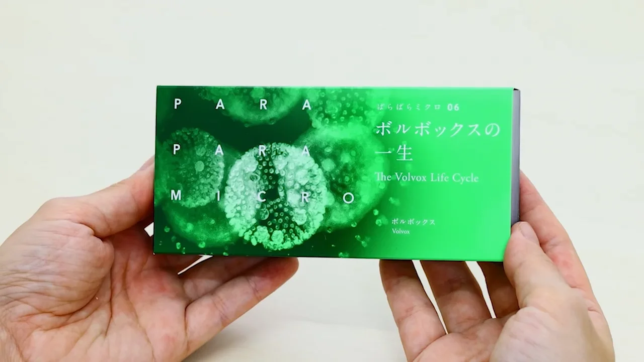 【中古】 生活・家政系の学の原論パラダイム Ｍ．Ｍ．ブラウンの思想と方法を中心に/家政教育社/今井光映 パラダイムの迷宮: AI・生命の起源・ET・言語…未解決の謎を