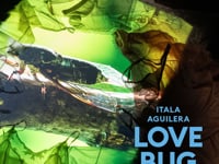Love Bug at Forecast Forum 8