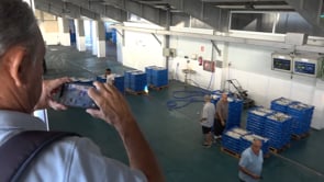Molt interès per a la subhasta del peix a la llotja
