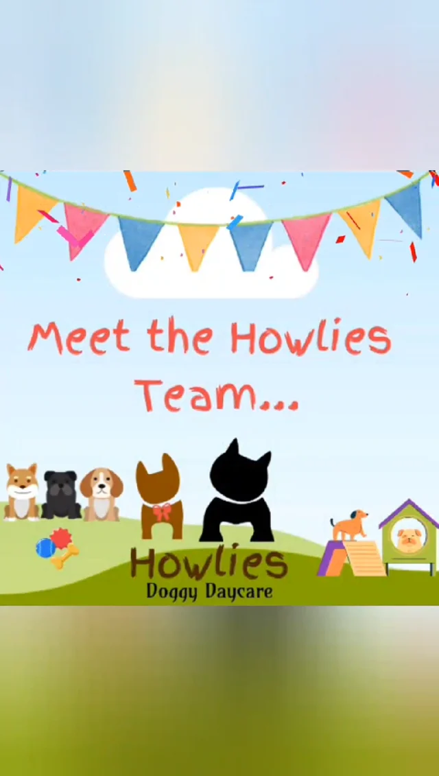 Howie's doggie sale daycare