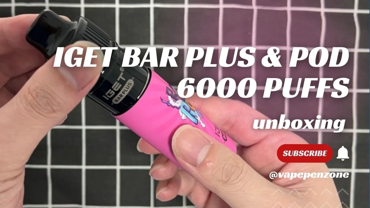 vape quiz Elf Bar E-Shisha 600 / 800 Züge Vape main image 1