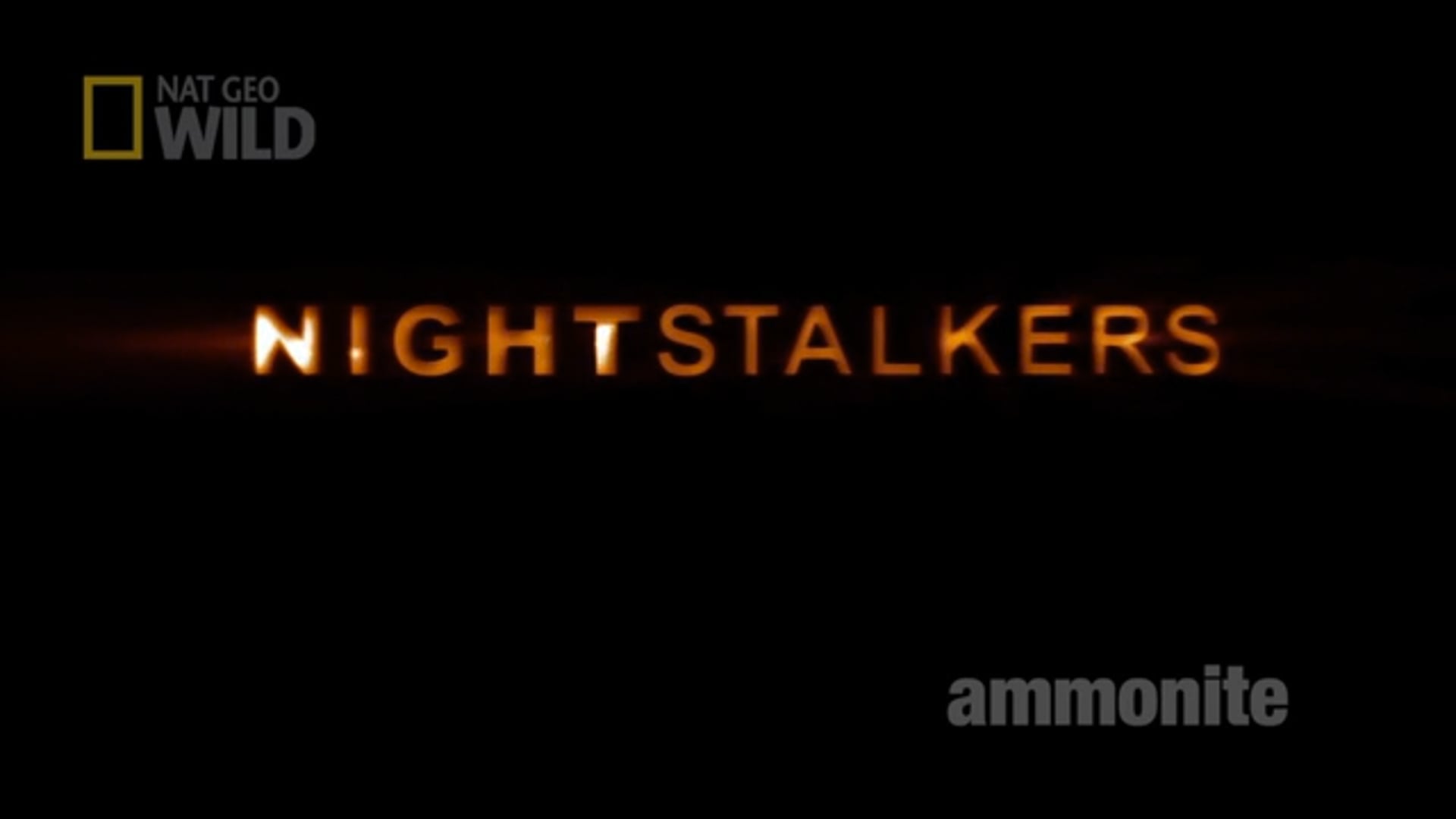 Nightstalkers snippet