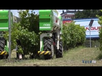 Demostración en campo | Robot agrícola Ted