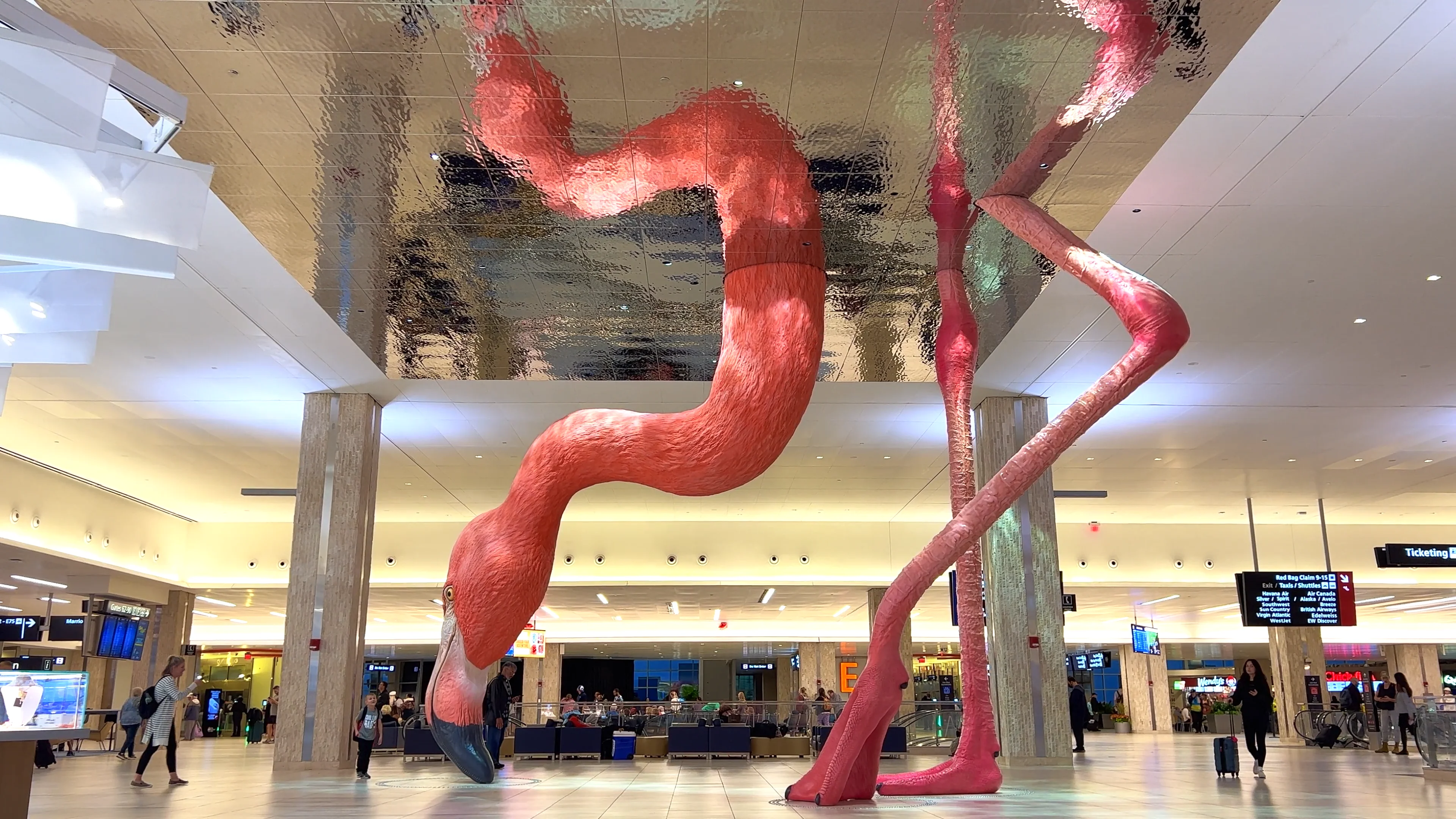 Creating An Underwater HOME For Phoebe The Flamingo at Tampa Airport