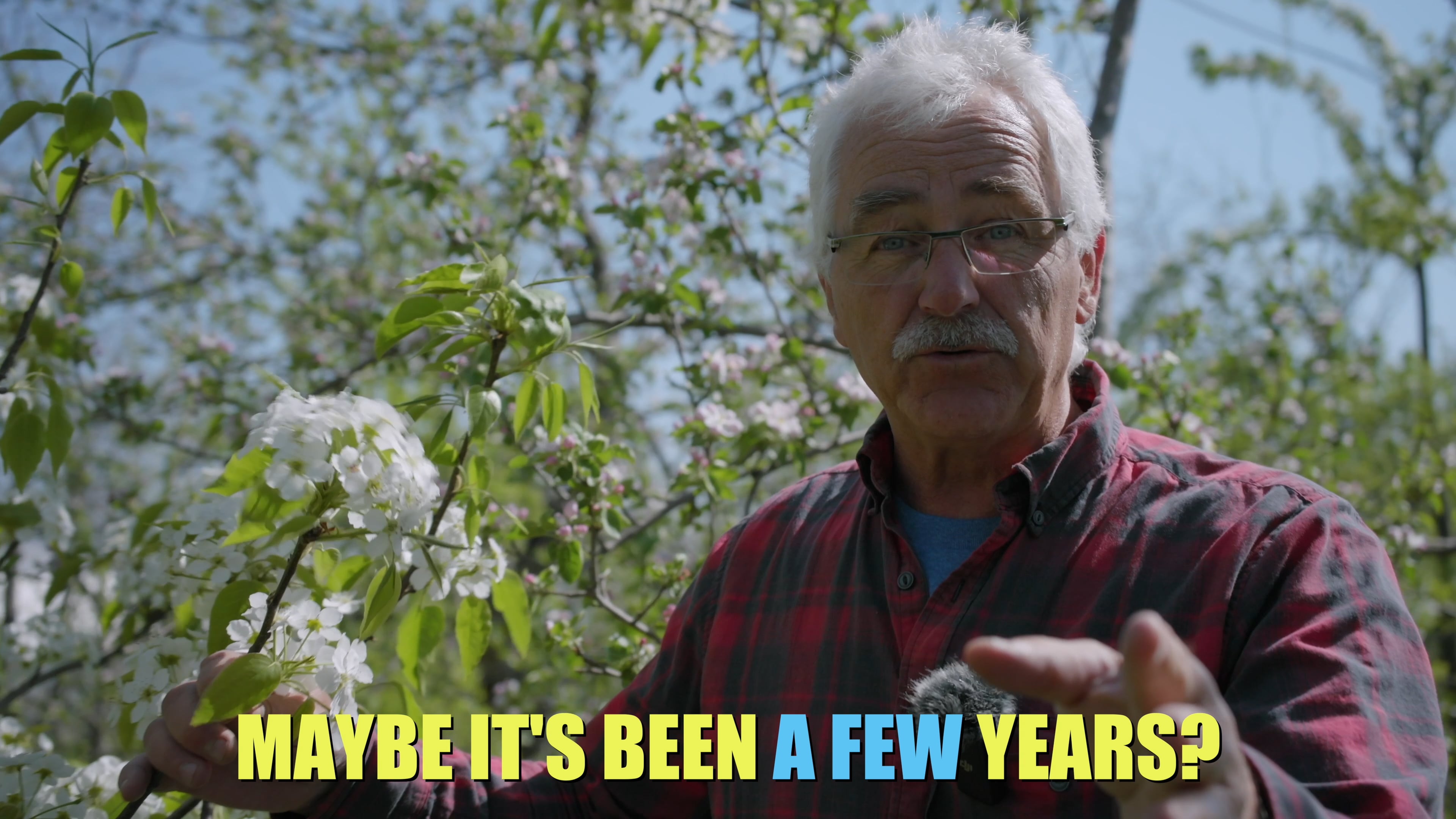 why tree isnt blooming on Vimeo