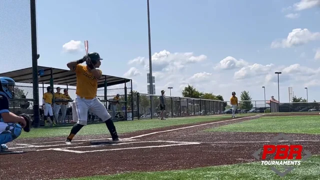 Area baseball roundup: Chaska opens Section 3B tournament with win over  Victoria, Chaska Sports