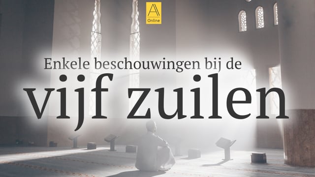 Enkele beschouwingen bij de vijf zuilen