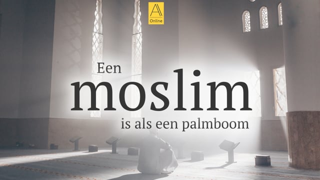 Een moslim is als een palmboom