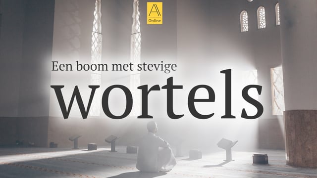 Een boom met stevige wortels