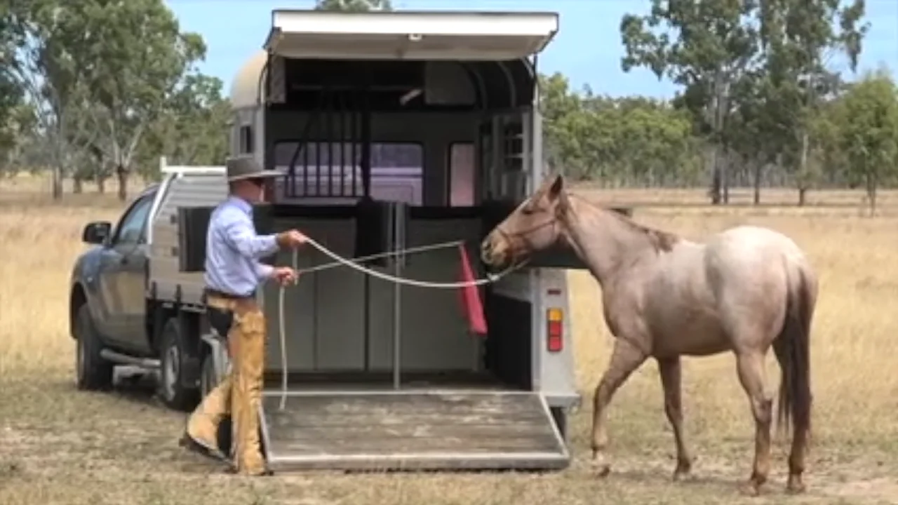 Trailer Loading Clip on Vimeo