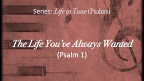 7-23-23 The Life You've Always Wanted (Psalm 1)