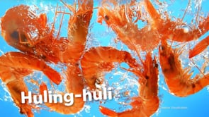 Related Embedded Video Item Thumbnail