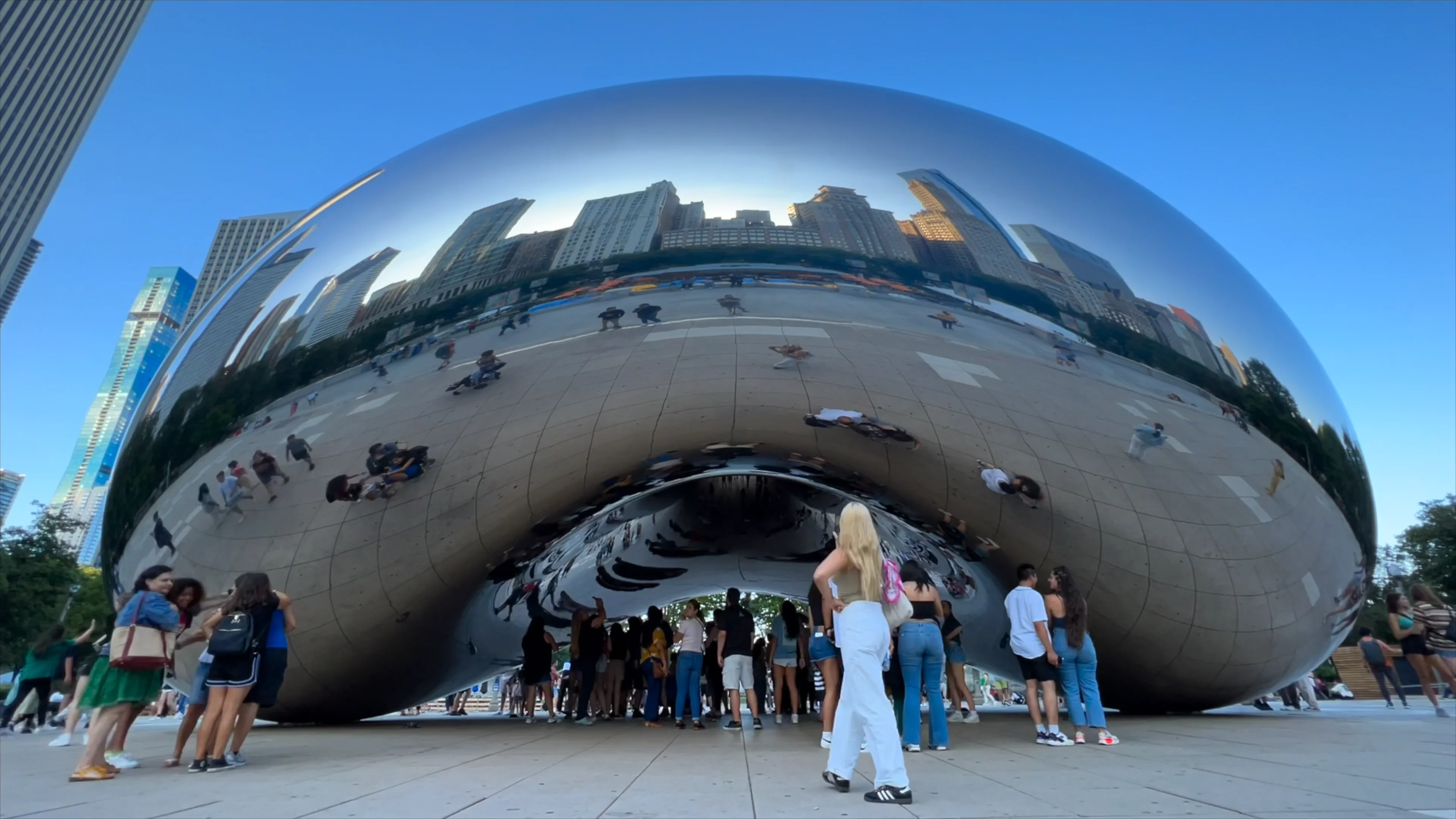 FOX - The FOX Experience - Members (2160p)