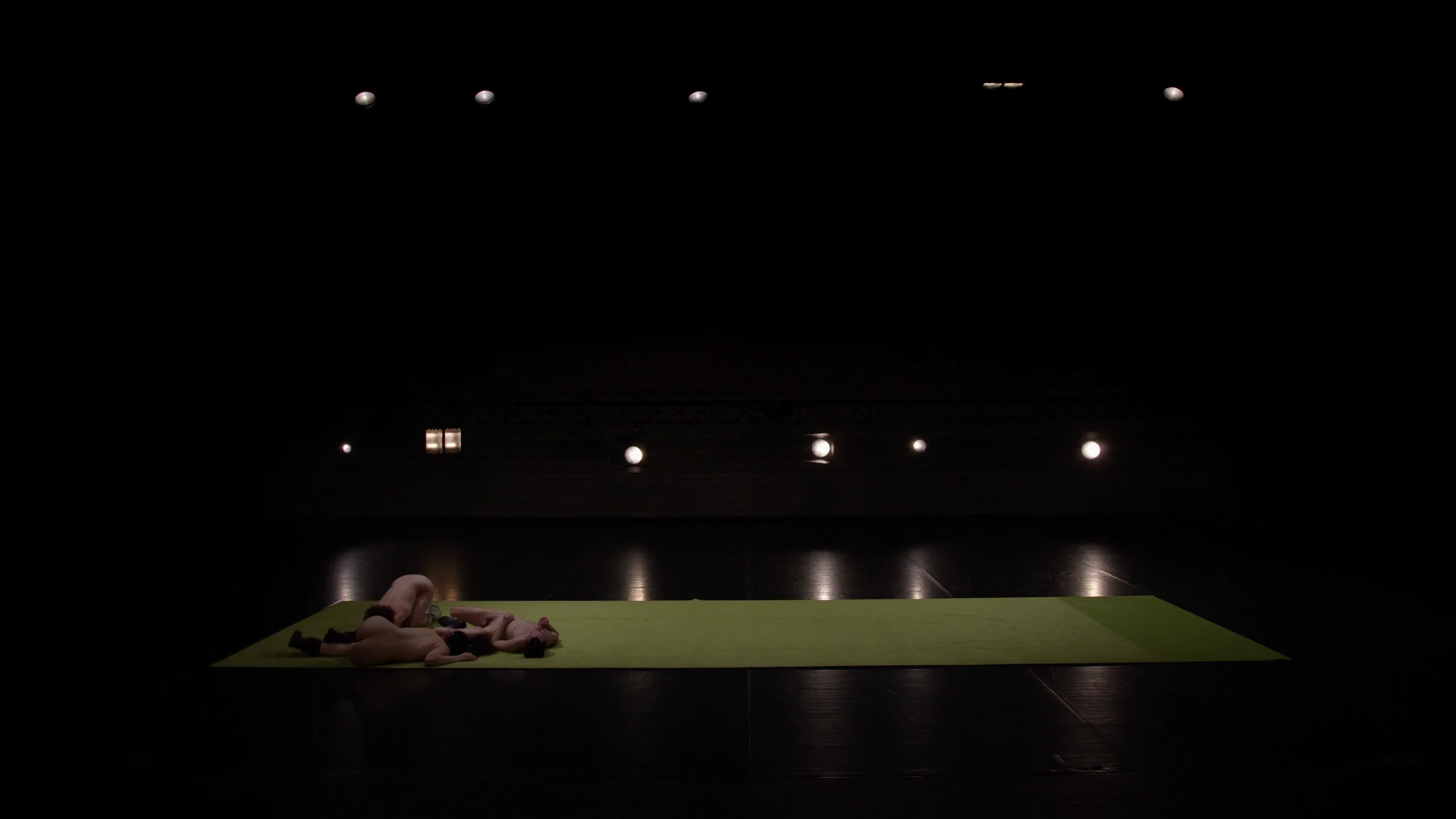 amorestranho SUDDENLY, A SLOTH CROSSES THE STREET - trailer on Vimeo