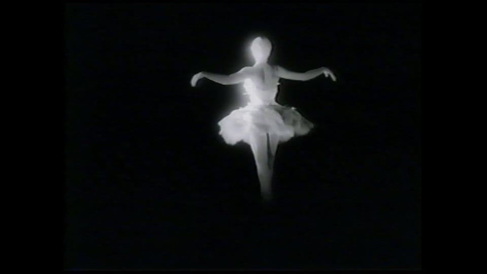 Swan, The