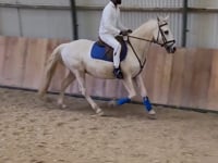 Andando de cavalo