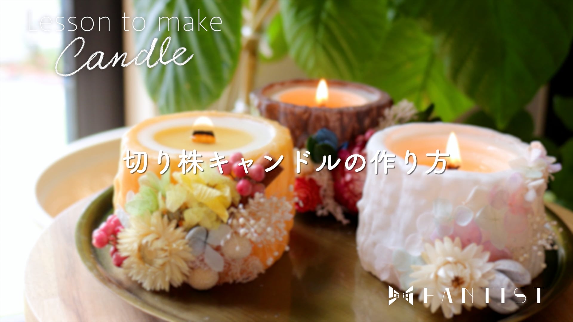 予告編動画のサムネイル画像