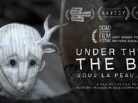 Sous le peau, l’écorce / under the skin, the bark / unter der Haut, die Rinde