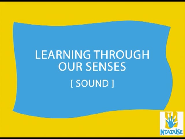 Learning Through Senses: Sound