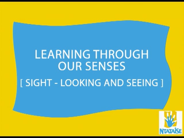 Learning Through Senses: Sight