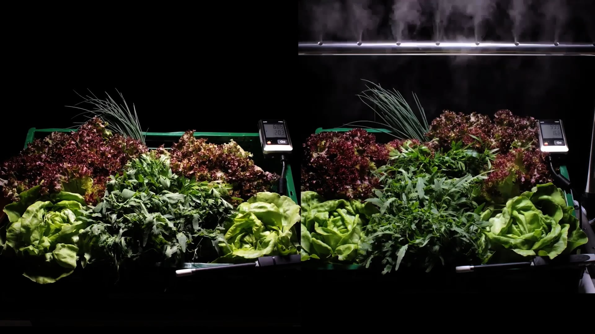 Time lapse sla on Vimeo
