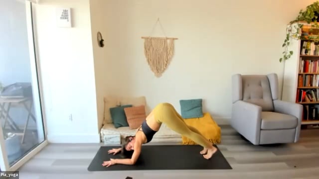 Zoom Julio 21 2023 drills headstand