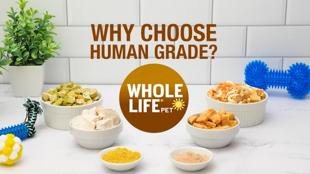 Human grade cheap ingredients