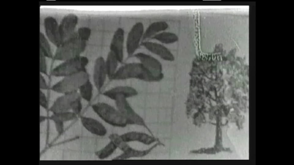 You Are Watching: A Film on Brecht