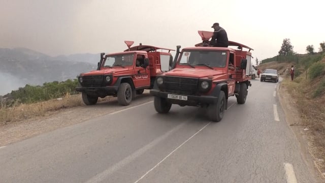 Corfu Wildfires: 'Fire of the century' now expected every decade